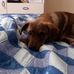 Profile Picture of Jerry Meaders (@jerry.meaders.10) on Facebook