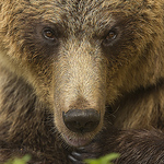 Profile Picture of Kyle Moore (@kyle moore photography) on Flickr