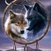 Profile Picture of William Dunkle (@william.dunkle.37) on Facebook