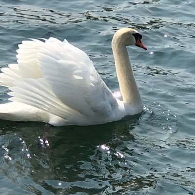 Profile Picture of Gretchen Macdonald (@gretchencourtne) on Twitter