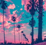 Profile Picture of Wyatt Warren (@wyatt.warren.39794) on Facebook