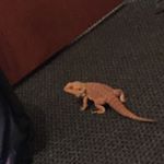 Profile Picture of Bobby keeney edgar (@bobbykeeneyedgar) on Instagram