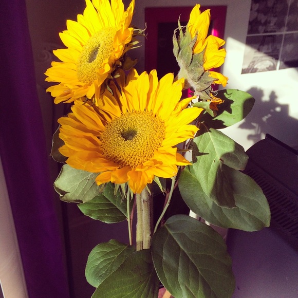 Profile Picture of Portia Thomas (@porsh_) on Poshmark