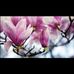 Profile Picture of Nichole Christopher (@nichole.christopher.92798) on Facebook
