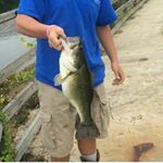 Profile Picture of Jaredlamar (@jared_lamar46) on Instagram