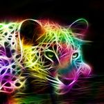 Profile Picture of shay terry (@shayterry1385) on Instagram