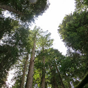 Profile Picture of Wayne Lin (@MarsGolf) on Youtube