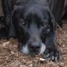 Profile Picture of Trudy Woolf (@trudy.woolf.75) on Facebook