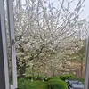 Profile Picture of clairstevens (@clairstevens) on Tiktok