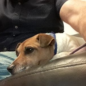 Profile Picture of Chris Crampton (@ChrisCrampton4) on Twitter