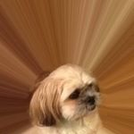 Greg Jorgensen - Instagram Profile Picture of Greg Jorgensen (@gjorgensen50) on Instagram