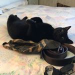 Profile Picture of Matthew Channell (@channellmatthew) on Instagram