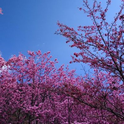 Profile Picture of Chang Lin Lee (@changlin900114) on Twitter