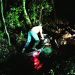 Profile Picture of brandon (@brandonbock19) on Instagram