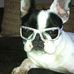 Profile Picture of Peter Voss (@peter.voss.927) on Facebook