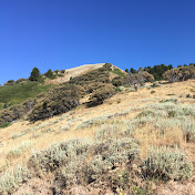 David Weatherspoon - Youtube Profile Picture of David Weatherspoon (@davidweatherspoon3818) on Youtube