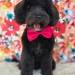 Profile Picture of Jan Śliwiński (@Jan-Śliwiński) on Facebook