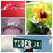 Profile Picture of Amanda Berkey (@aberkey86) on Pinterest