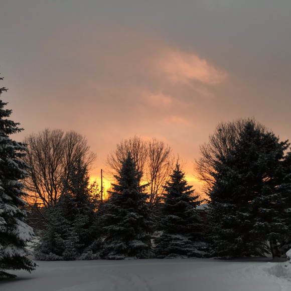 Profile Picture of Josh Anderson (@sarah0033) on Poshmark