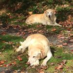 Profile Picture of Bob Lynde (@lynde.bob) on Instagram