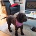 Profile Picture of Luc Gagnon (@luc.gagnon.3152) on Facebook