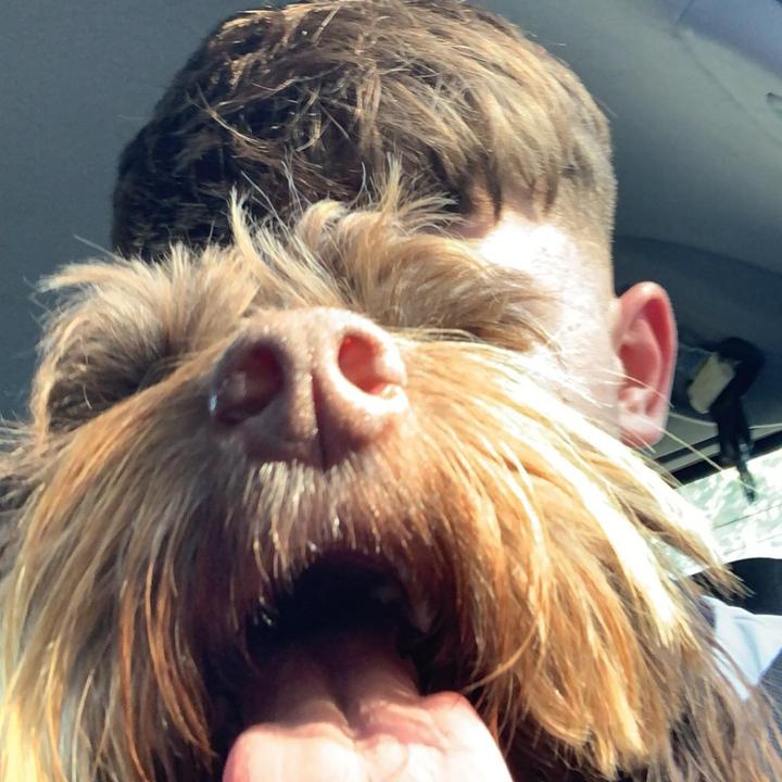 Profile Picture of Stephen Ryan (@@stephenryan79) on Tiktok