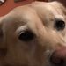 Profile Picture of grace sample (@mythical202) on Pinterest