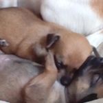 Profile Picture of Federico Chavez (@federico.chavez.10441861) on Instagram