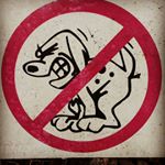 Profile Picture of Phillip Howe (@phillip.howe) on Instagram