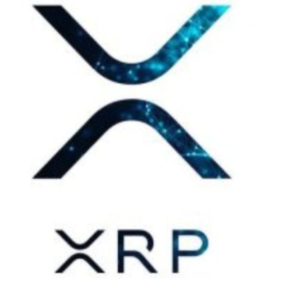 Peter Vasilakis - Poshmark Profile Picture of Peter Vasilakis (@petervasilakis) on Poshmark