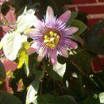 Profile Picture of Bryon Russell (@mrbryonrussell) on Instagram