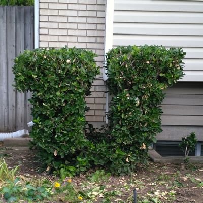 Profile Picture of Hugh Jass (@michaellundberg) on Twitter