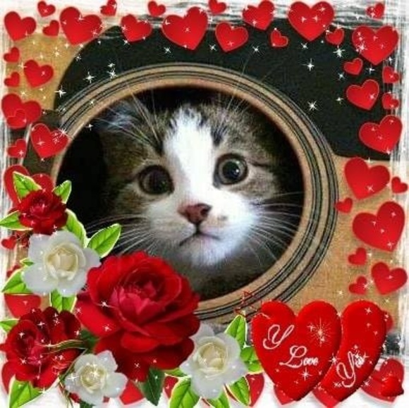 Profile Picture of Bonnie Carver (@bonnie_carver) on Poshmark