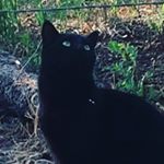 Profile Picture of Andrew..needler (@andrew.needler) on Instagram