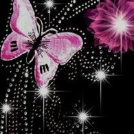 Profile Picture of Kim Earley (@KimEarley10) on Twitter