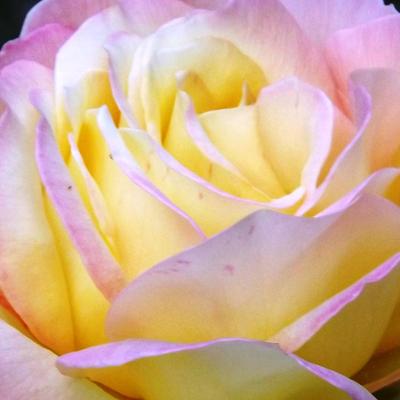 Profile Picture of Heather Calvin (@heathercalvin21) on Twitter