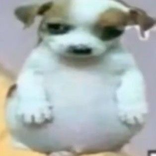 Profile Picture of David Wells (@dave.wells) on Tiktok