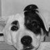 Profile Picture of Dusty Springfield (@dusty.springfield.944) on Facebook