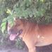Profile Picture of David Catchings (@david.catchings.568) on Facebook