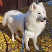 Profile Picture of Mandy Yu (@Mandyyu_0816) on Youtube