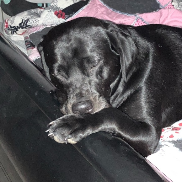 Profile Picture of Nate Smith (@bio71572) on Poshmark