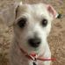 Profile Picture of Buddy Fontenot (@buddy.fontenot.7) on Facebook