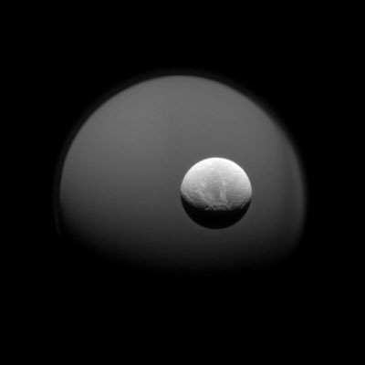 Profile Picture of TinyHands (@peter_linsley) on Twitter