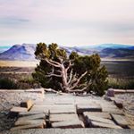 Profile Picture of Robert (@callisterart) on Instagram