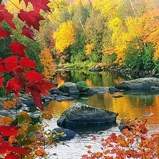 Profile Picture of Michael Irvine (@michael.irvine.313) on Facebook