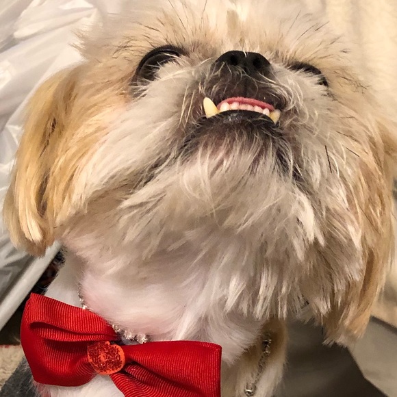 Profile Picture of Wesley Thomas (@wesleythomas543) on Poshmark