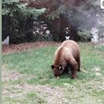 Profile Picture of Marco Michayluk (@michayluk) on Instagram