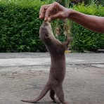 Profile Picture of Kevin Otter (@Kevin-Otter) on Facebook