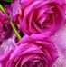 Profile Picture of Annabelle Romero (@annabelle.romero.581) on Facebook