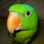 Profile Picture of Harold Brian (@harold_brian) on Instagram